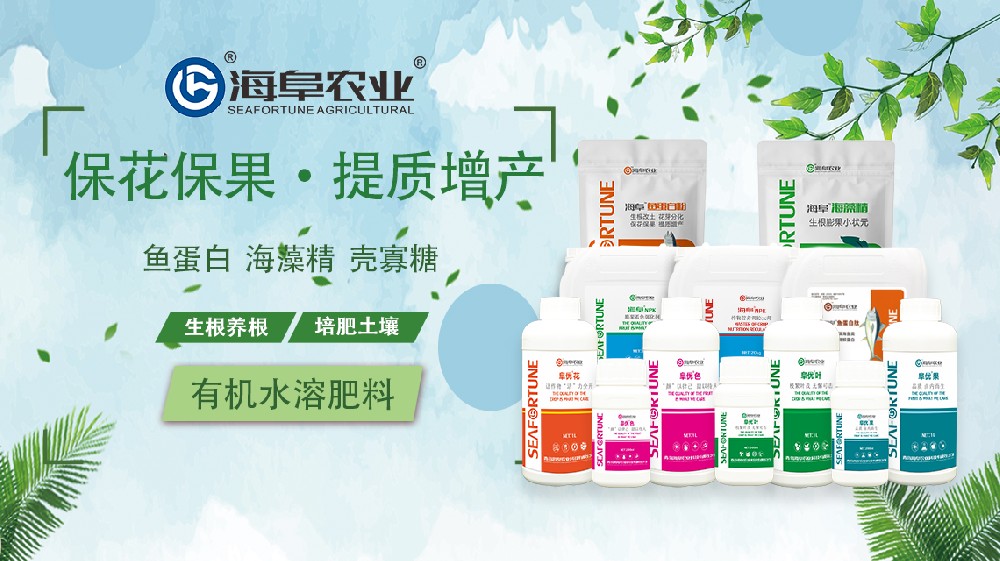 西红柿不结果是什么原因