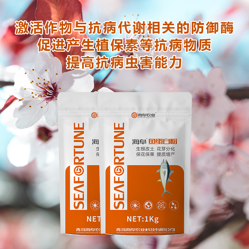 开花期的蝴蝶兰如何护理