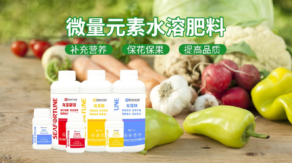 红菜苔用什么肥料长得更快